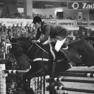 Pferd und Reiterin springen über ein Hindernis