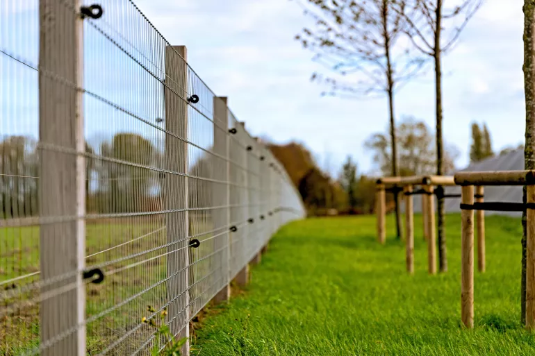 Maschendrahtzaun mit Robinien-Vierkantpfosten und zwei stromführenden Drähten
