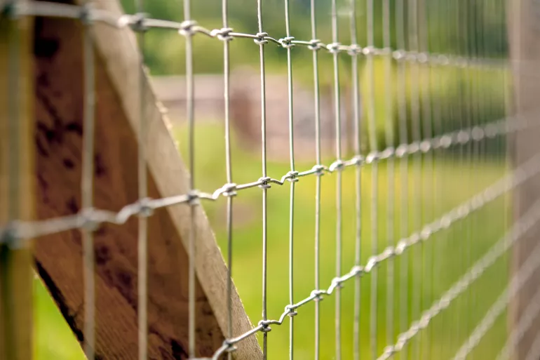 Eine Nahaufnahme eines Maschendrahtzauns