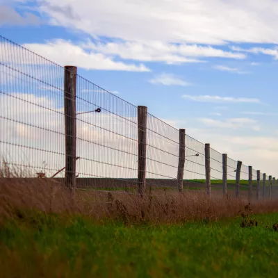 Maschendrahtzaun mit Robinienrundpfosten auf einem Feld
