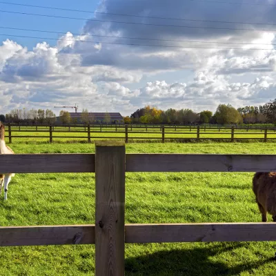 Omheiningen en poorten voor alpaca's