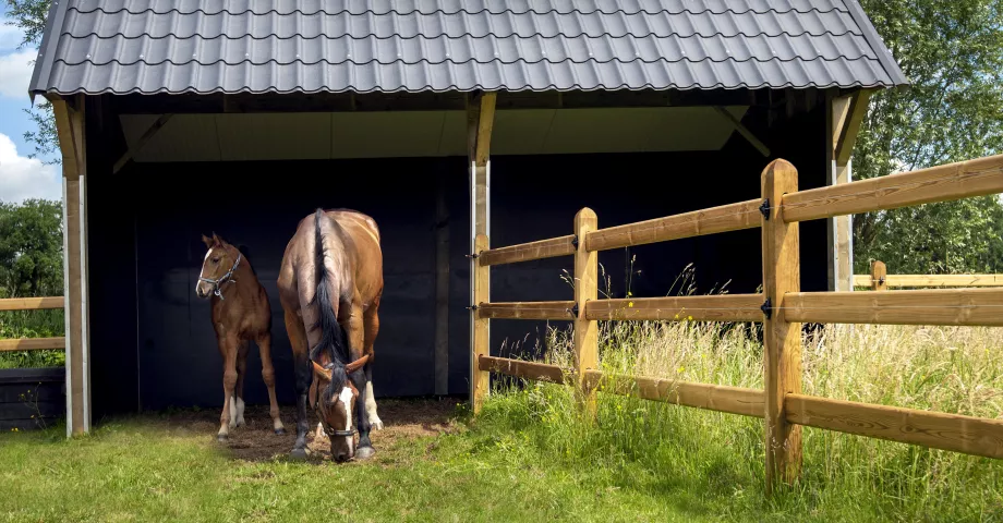 Ein doppelter hölzerner Pferdeunterstand mit schwarzem Ziegeldach, verbunden mit einem Holzzaun mit 3 Stangen auf einem Feld mit zwei Pferden