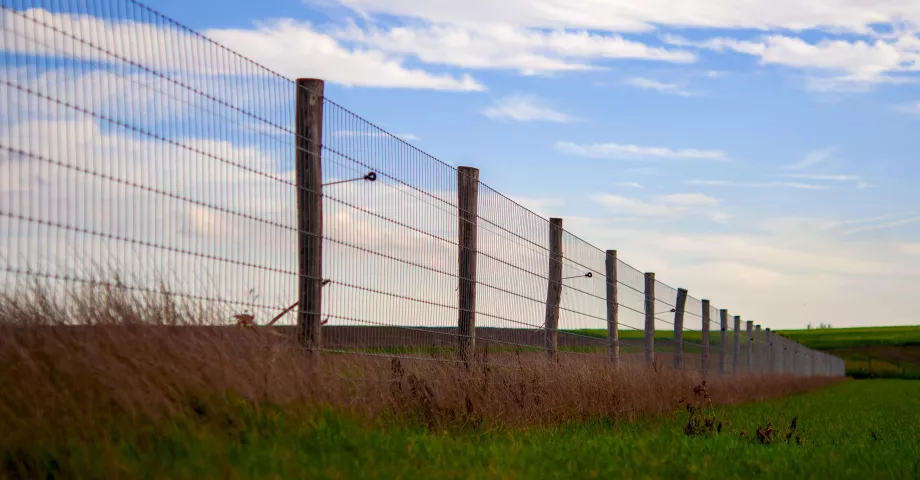Maschendrahtzaun mit Robinienrundpfosten auf einem Feld