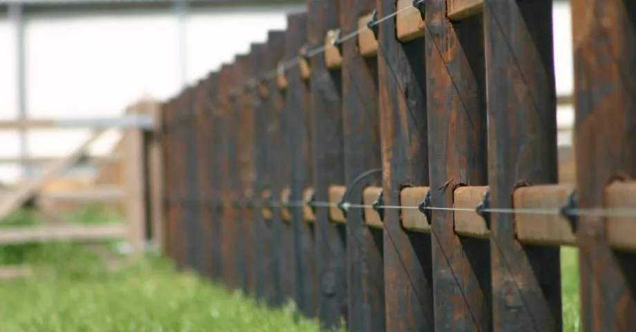 Holzzäune mit runden Pfosten, 2 Stäben und elektrischen Drähten