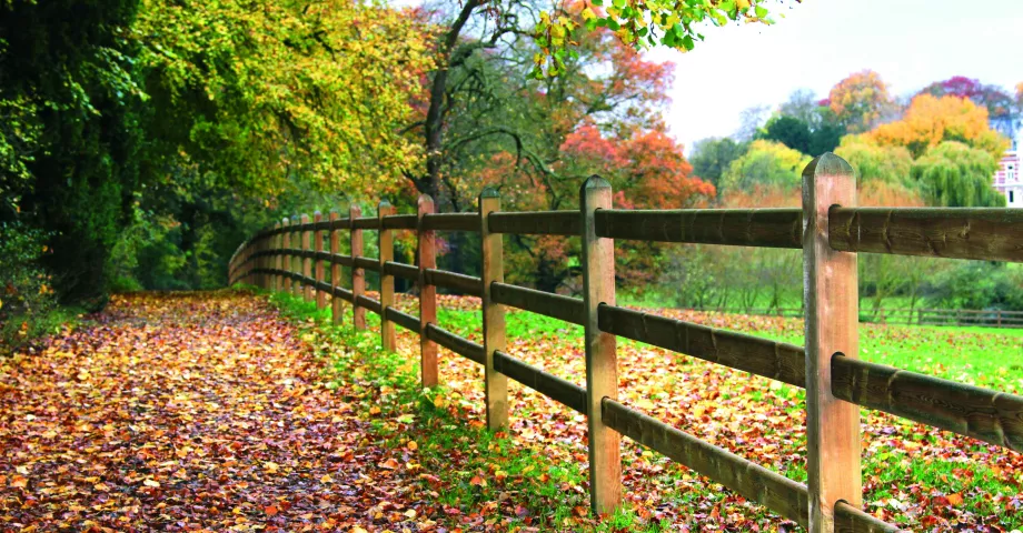 Holzzäune mit quadratischen Pfosten und drei Stäben