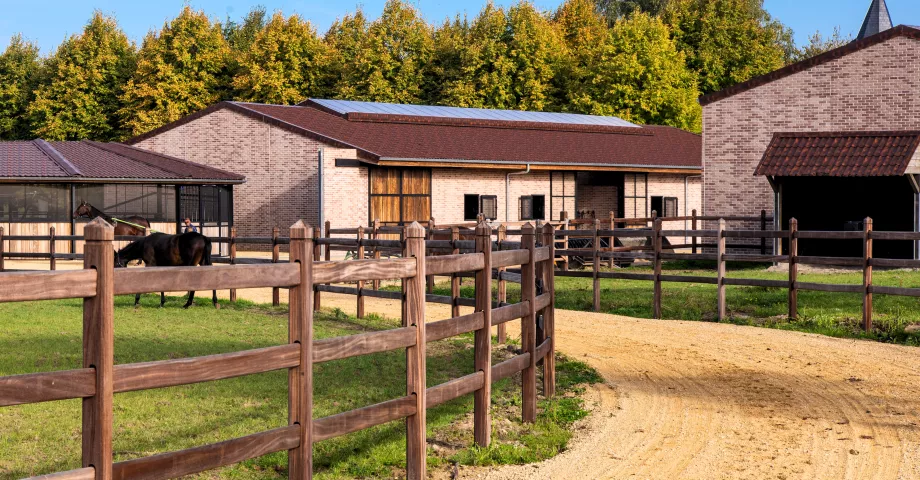 Holzzäune mit 2 Stäben und quadratischen Pfosten mit einer rautenförmigen Spitze